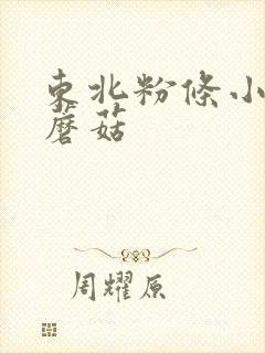 东北粉条小鸡炖蘑菇