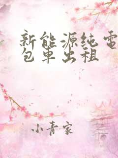 新能源纯电动面包车出租