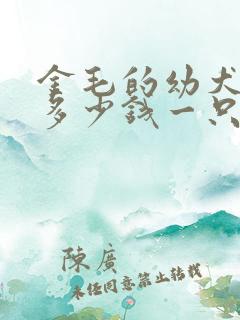 金毛的幼犬大概多少钱一只 金毛的幼犬大概多少钱一只