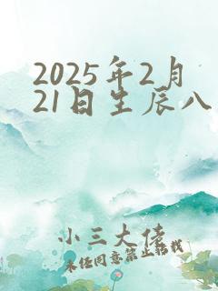 2025年2月21日生辰八字