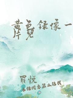 黄色录像一级大片儿