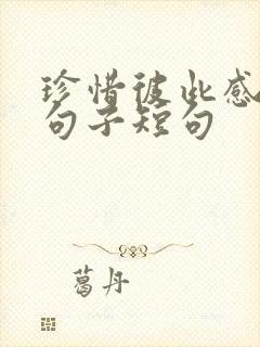珍惜彼此感情的句子短句 珍惜彼此感情的句子短句