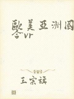 欧美亚洲国产综合vr