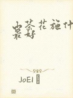 山茶花施什么肥最好
