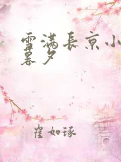 雪满长京小说李暮夕
