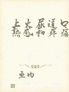 上火尿道口有灼热感和疼痛