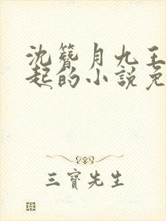 沈簪月九王傅云起的小说免费阅读