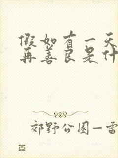 假如有一天我不再善良是什么歌曲