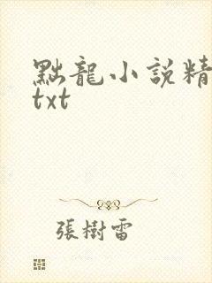 黜龙小说精校版txt
