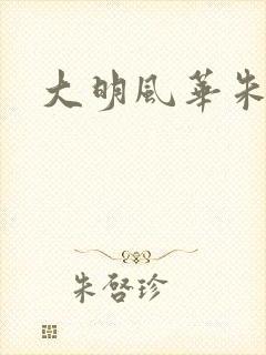大明风华朱祁镇 大明风华朱祁镇