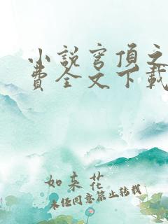 小说穹顶之上免费全文下载