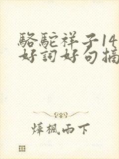 骆驼祥子14章好词好句摘抄