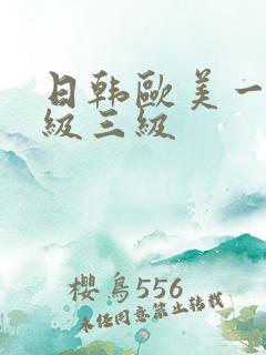 日韩欧美一级二级三级