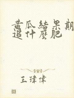 黄瓜结果期需要追什么肥