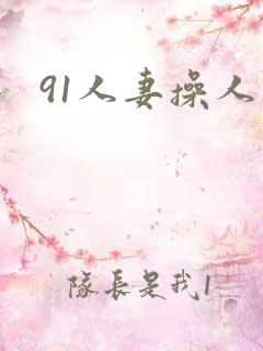 91人妻操人妻