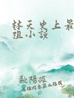 林天史上最狂老祖小说