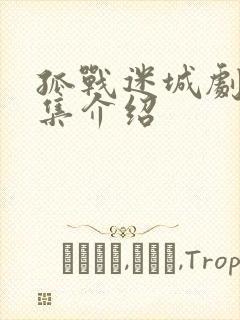 孤战迷城剧情分集介绍