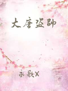 大唐盗帅