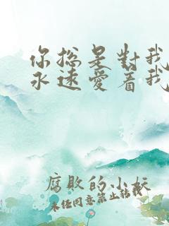 你总是对我说你永远爱着我什么歌