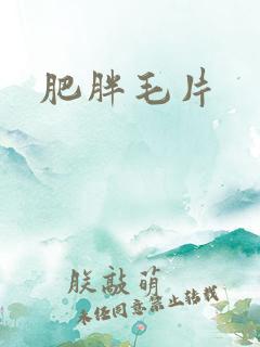 肥胖毛片