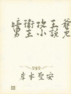 暗卫攻王爷受双男主小说免费阅读