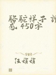 骆驼祥子 读后感 450字