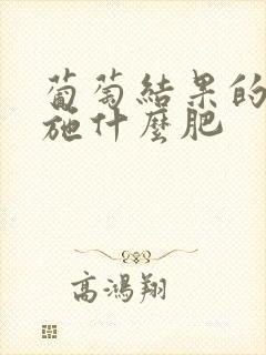 葡萄结果的时候施什么肥