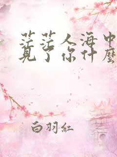 茫茫人海中我遇见了你什么歌