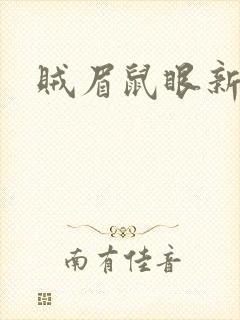 贼眉鼠眼新书