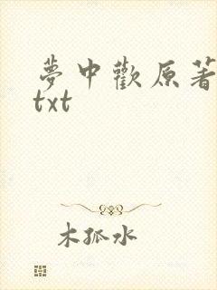 梦中欢原著小说txt