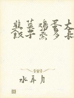 韭菜鸡蛋大虾馅饺子蒸多长时间