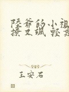 陆爷的小祖宗又撩又飒 轻舞
