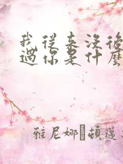 我从来没后悔爱过你是什么歌