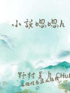 小说嗯嗯h