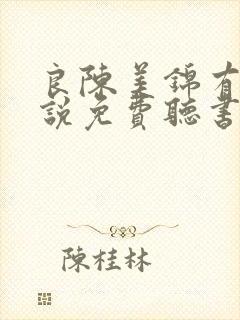 良陈美锦有声小说免费听书