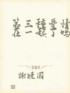 第三种爱情结局在一起了吗