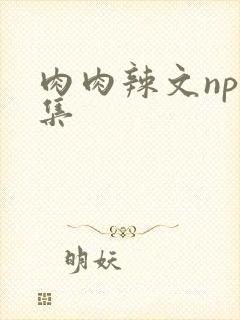 肉肉辣文np合集
