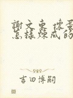 谢文东 坏蛋是怎样炼成的