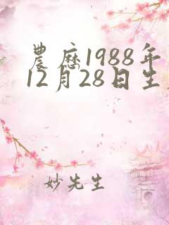农历1988年12月28日生辰八字