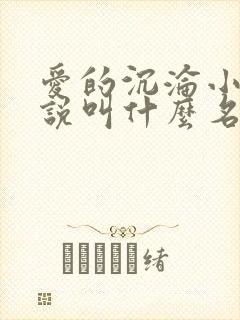 爱的沉沦小风小说叫什么名字