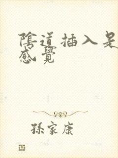 阴道插入是什么感觉