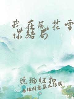 我在风花雪月等你结局