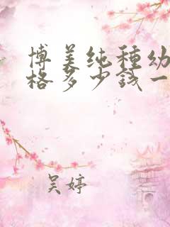 博美纯种幼犬价格多少钱一只 博美纯种幼犬价格多少钱一只