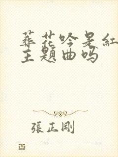 葬花吟是红楼梦主题曲吗
