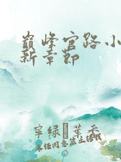 巅峰官路小说最新章节