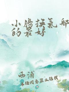小肠换气哪里治的最好