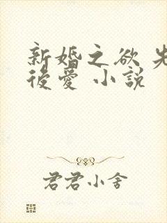 新婚之欲 先婚后爱 小说