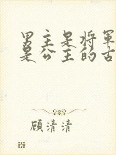 男主是将军女主是公主的古言