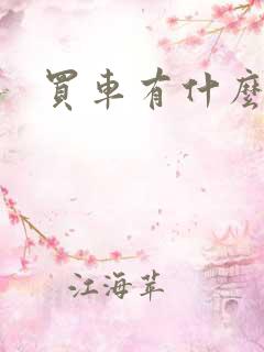 买车有什么网