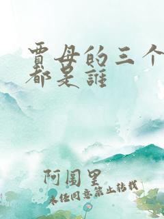 贾母的三个儿子都是谁